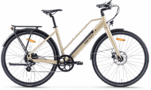 Cycle Bertin E Work Lady