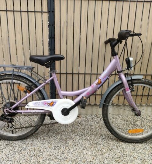 VELO GO SPORT 20 POUCES 2