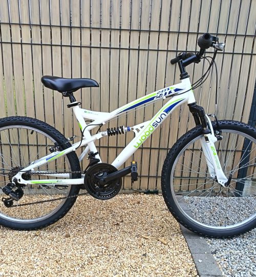 VTT WOOSUN 24"
